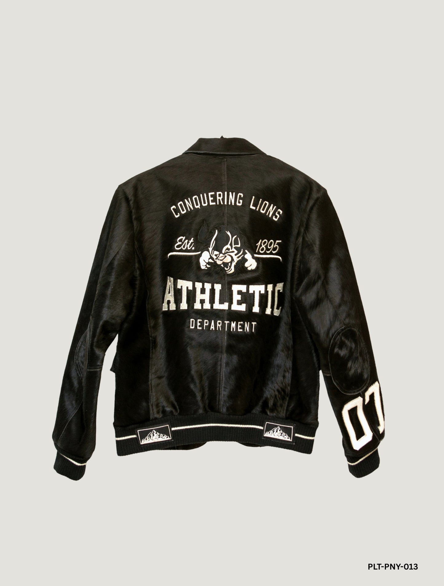 PLATINUM CLOUD PATROL BOMBER BLAZER